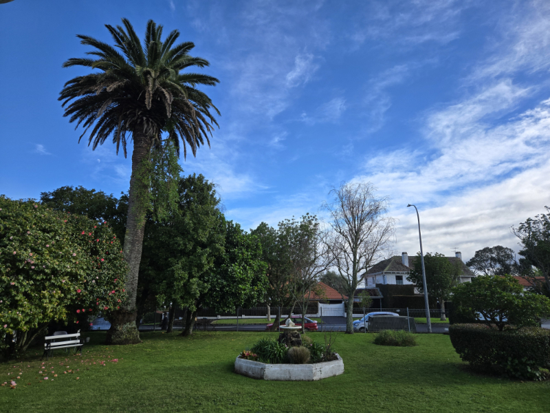 Front Garden2