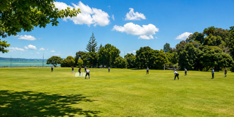 Cricket by the Sunny Waterfront Revised