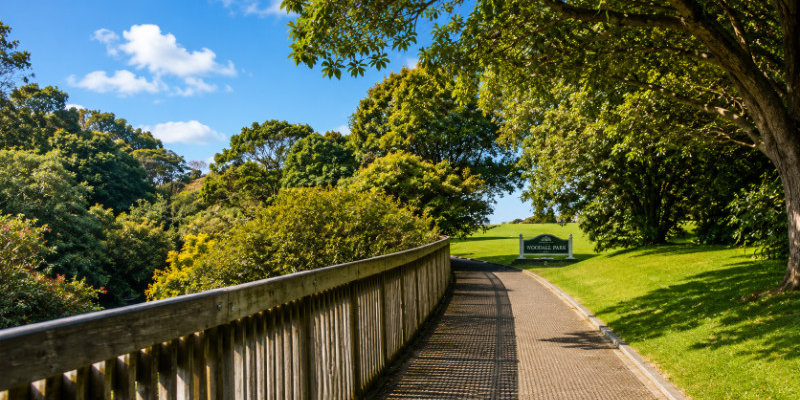 Walking trail Revised